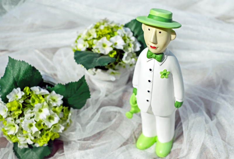 vitrine-CAGNES SUR MER-min_man-person-flower-green-toy-fig-546529-pxhere.com